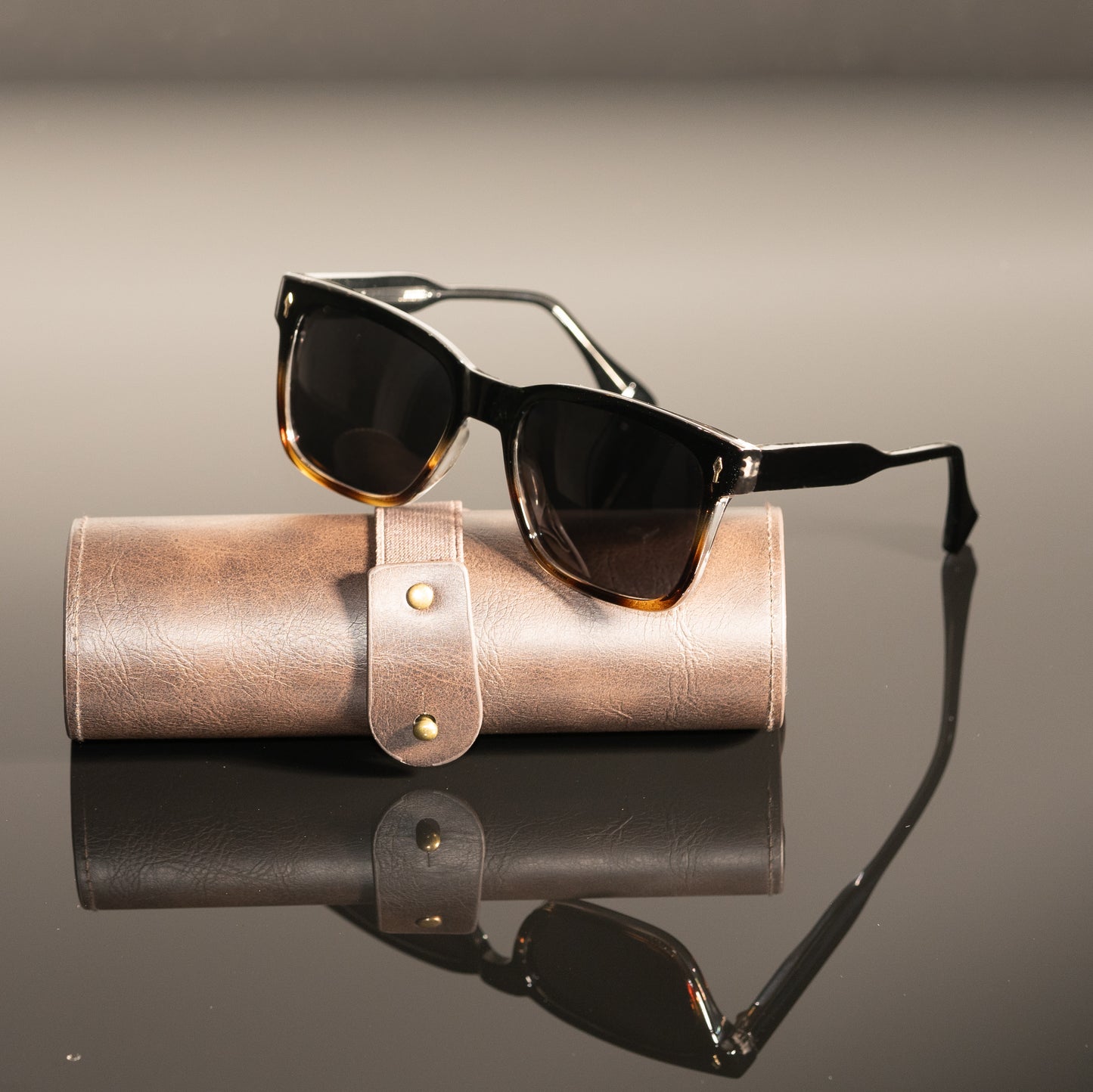 Tortuga Polarized