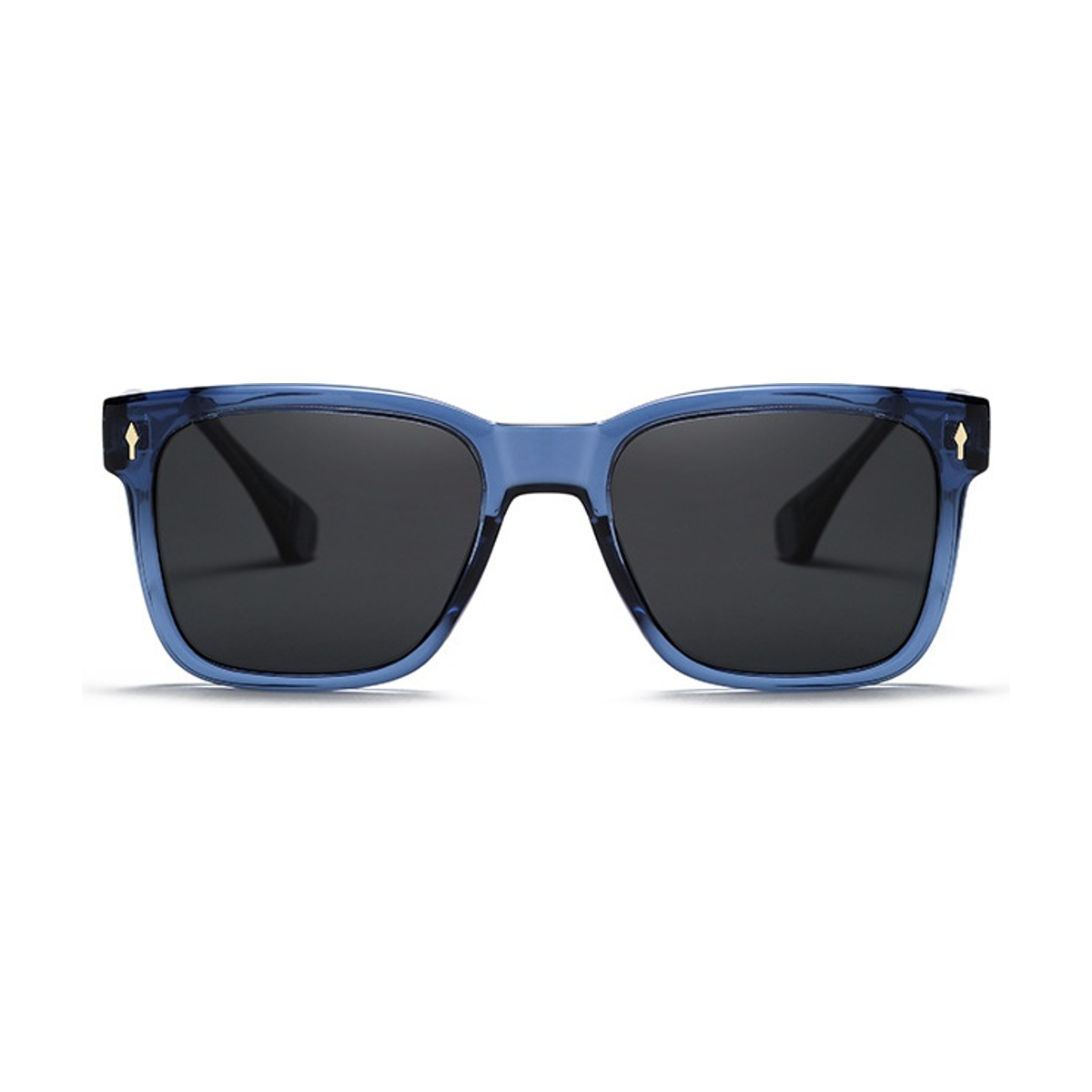 Tortuga Polarized