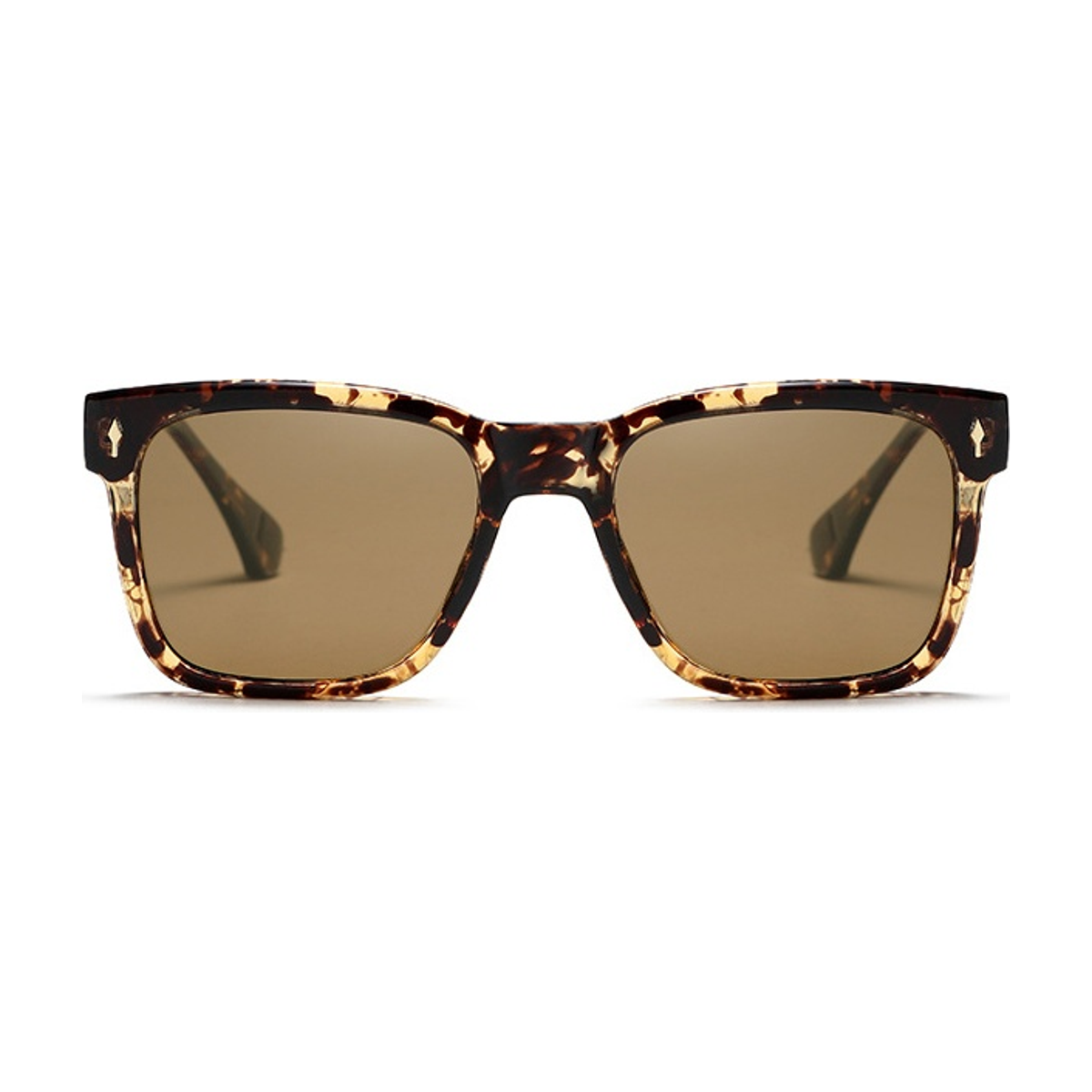 Tortuga Polarized