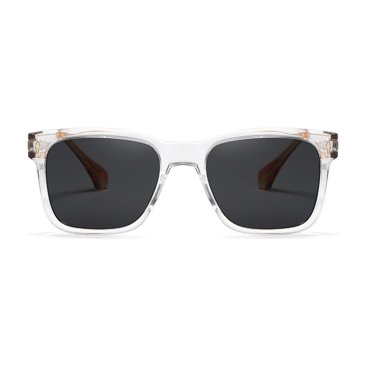 Tortuga Polarized