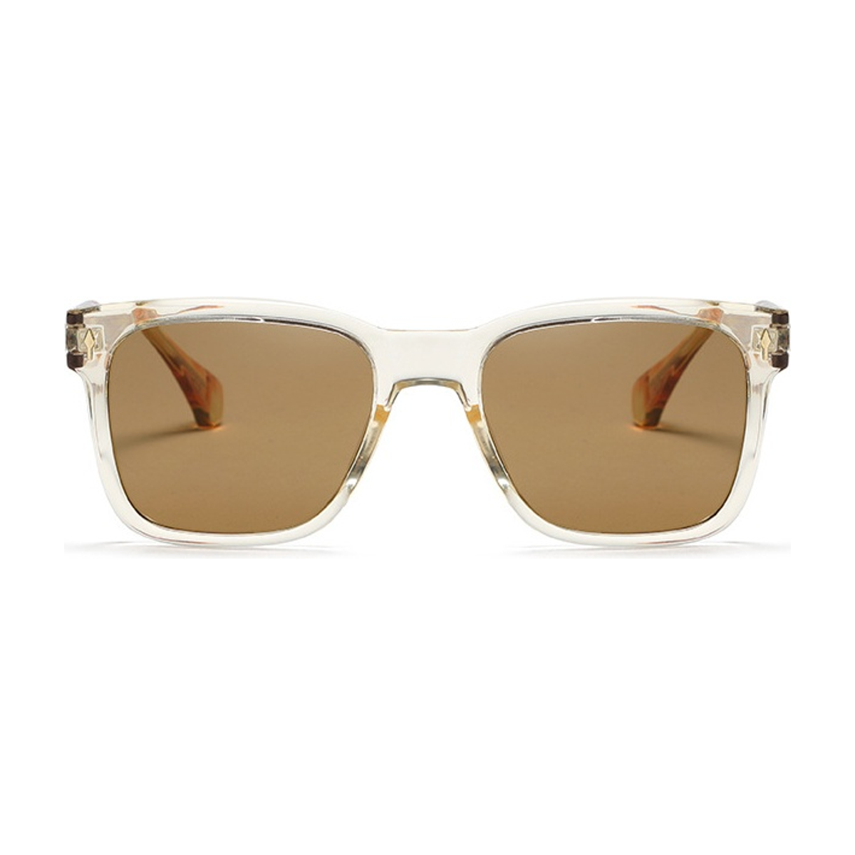 Tortuga Polarized