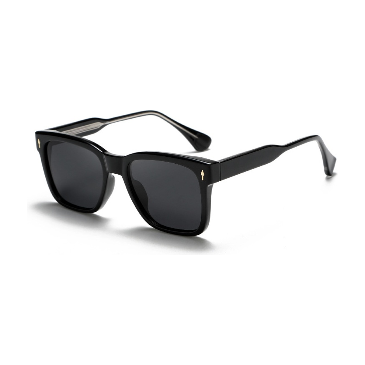 Tortuga Polarized