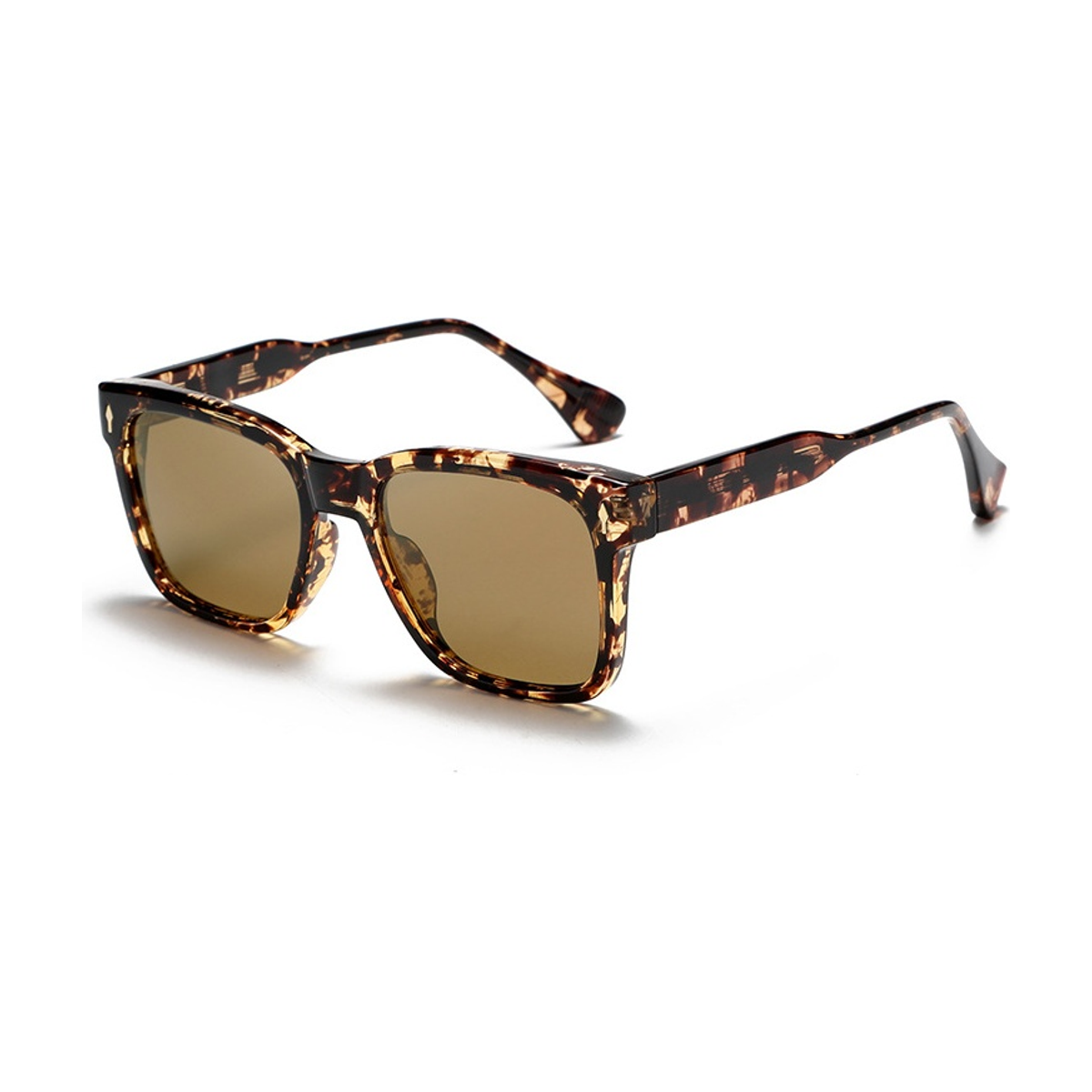 Tortuga Polarized