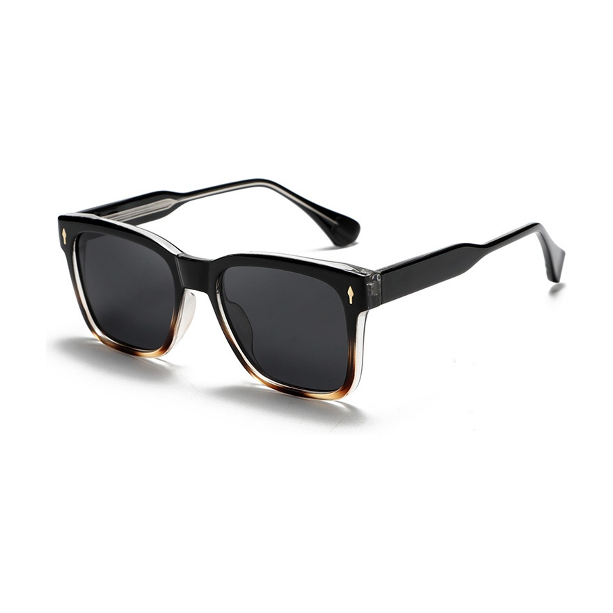 Tortuga Polarized